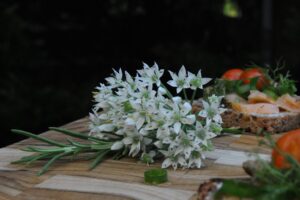 onion blossom, rosemary, salmon sandwiches