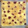 Raspberry Coconut Farmers Cheese Cake