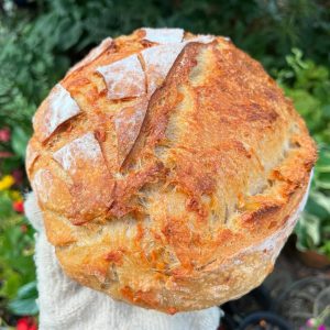 cheese einkorn sourdough loaf
