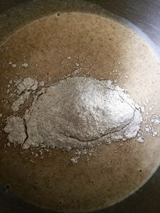 Pre-dough after 14-hour fermentation