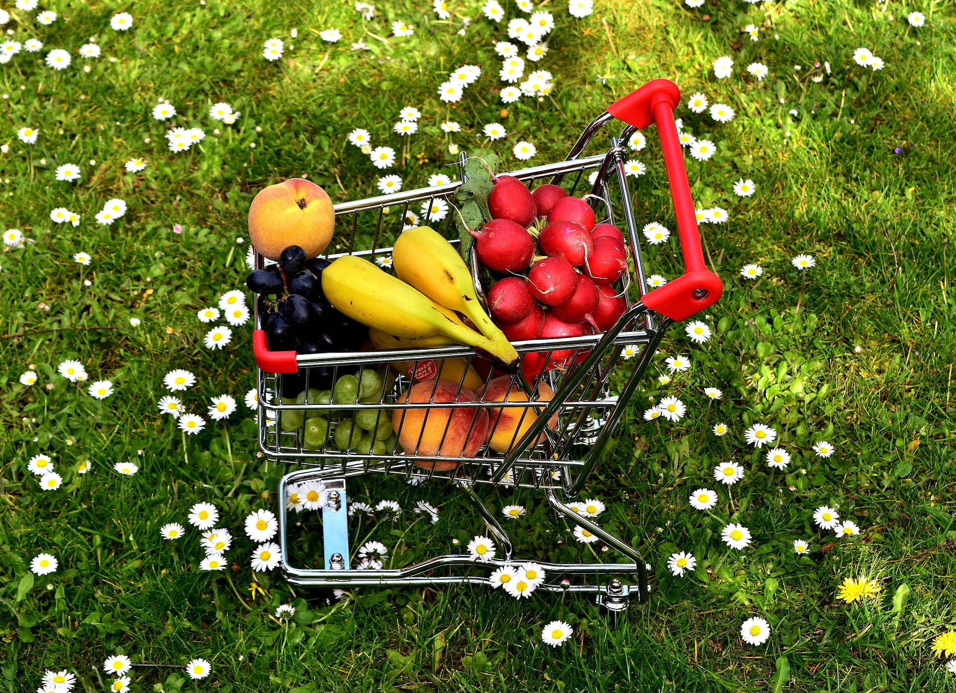shopping cart with veggies